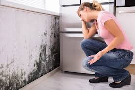 Mold Remediation for Rental Properties in Miami, FL